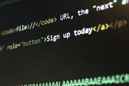 Web Design Trends in 2024